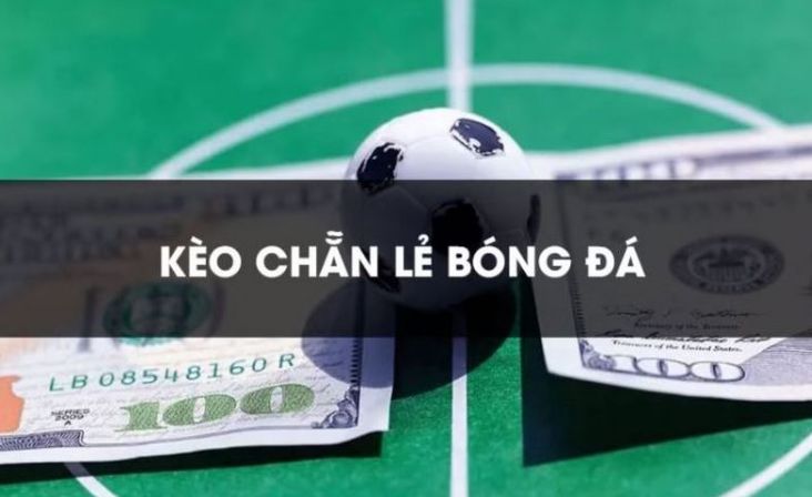 Kho báu trò chơi K9win - K9win