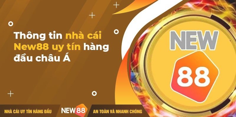 Hiện nay, Sân chọi gà Tomo đã phát triển thành một sân chọi gà hiện đại đạt tiêu chuẩn 9Vnd - 9Vnd