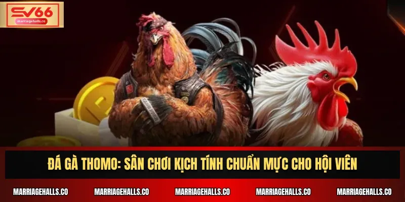 Những trò chơi nào được xếp hạng Lk88? - Lk88