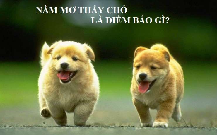 Hướng dẫn rút tiền của Sumvip rất chi tiết và bạn có thể nhận được tiền trong vòng 3 phút - Sumvip