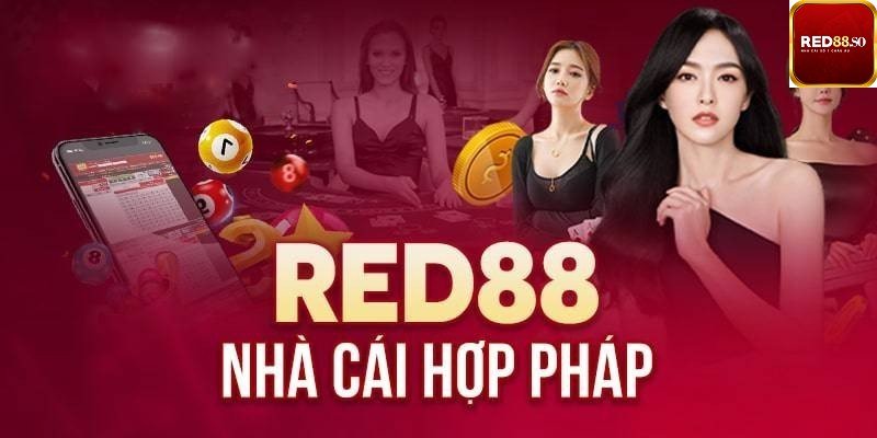 Leo88 cung cấp các hoạt động khuyến mãi - Leo88