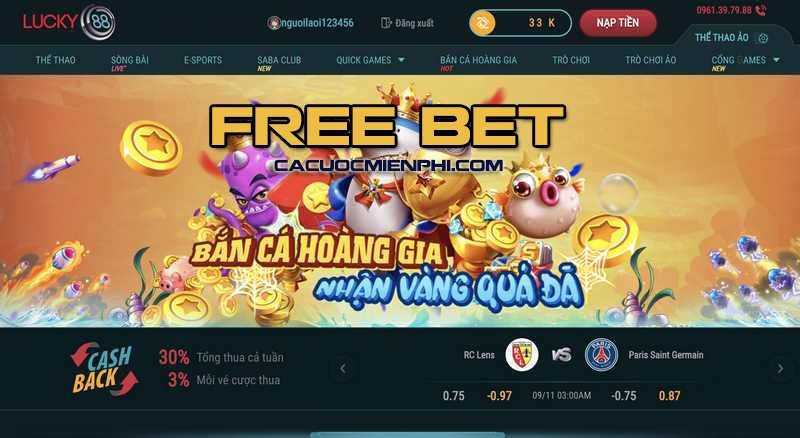 Mocbai có rất nhiều hoạt động thú vị và quà tặng hấp dẫn đang chờ đón bạn - Mocbai