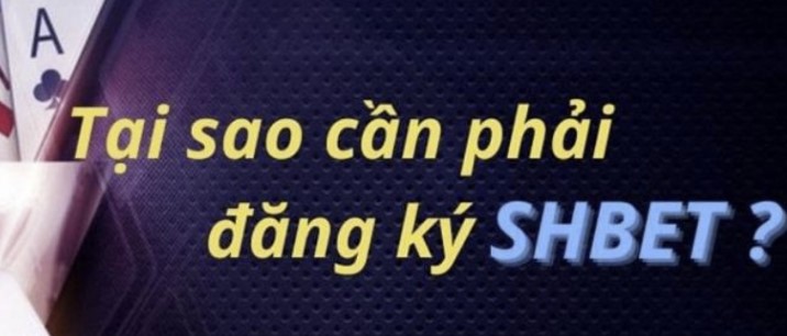 Trụ sở chính của Pk88 nằm ở đâu? - Pk88