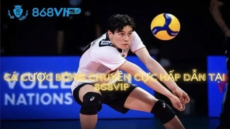 Nền tảng cá cược thể thao phổ biến nhất của 98Win - 98Win