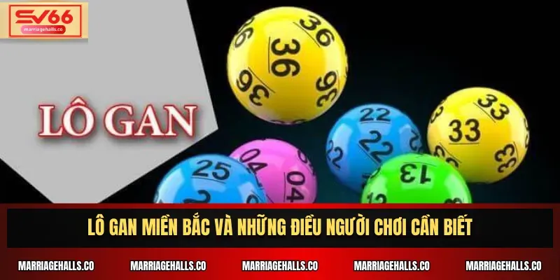 Onbet88 Online cung cấp nhiều dịch vụ khác nhau - Onbet88