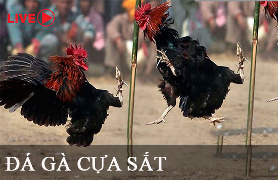 Sự thật đằng sau những tin đồn rằng trang web game Gg8 là một trò lừa đảo là gì? - Gg8