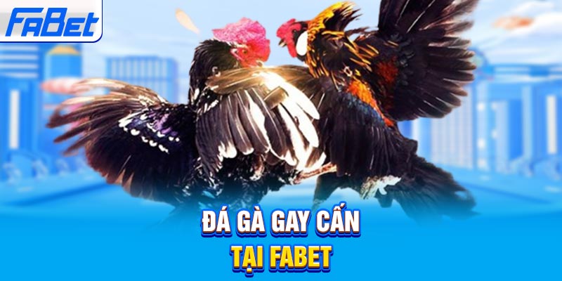 Quy trình rút tiền ba bước của trang web game Bay789 - Bay789