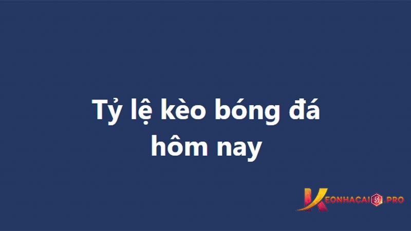 Xếp hạng Xin88 – tại sao nó lại hấp dẫn đến vậy? - Xin88