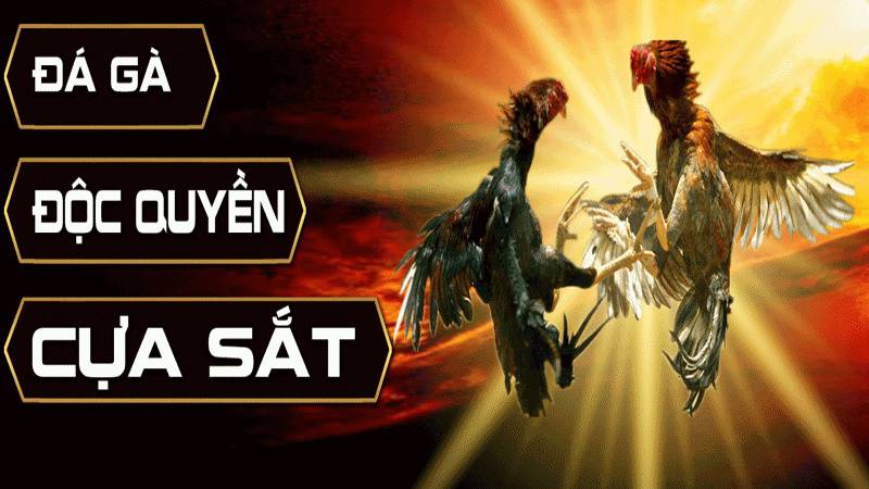 Xếp hạng VIP Gnbet tổng thể - Gnbet