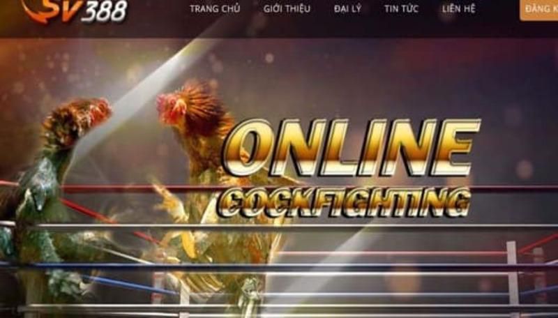 Pkvip cung cấp một số trò chơi trực tuyến tuyệt vời - Pkvip