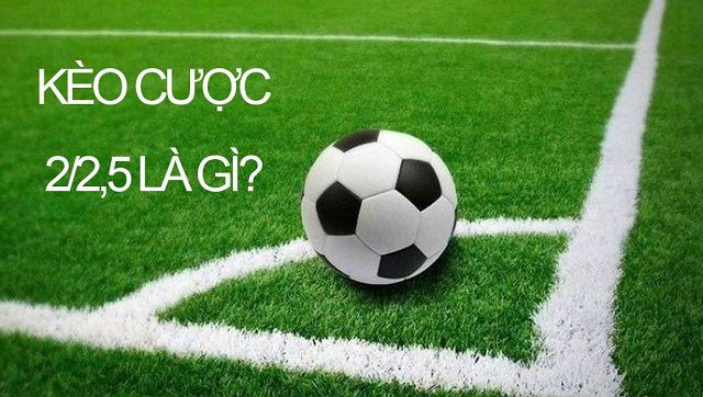 Dịch vụ và hỗ trợ khách hàng của Mot88 Games - Mot88