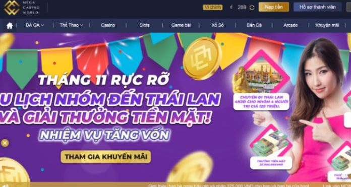 Tôi có thể được thăng cấp lên cấp độ Nbet bằng cách nào? - Nbet