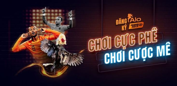 Câu hỏi thường gặp về các hoạt động khuyến mãi của 88Vv - 88Vv