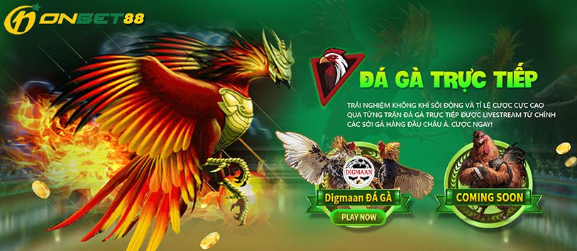 Thư viện game cấp độ Hay88 rất phong phú về nội dung và có nhiều trò chơi hấp dẫn - Hay88