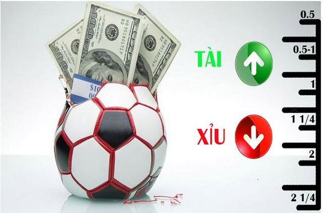 Dịch vụ sang trọng đạt chuẩn 77Win - 77Win